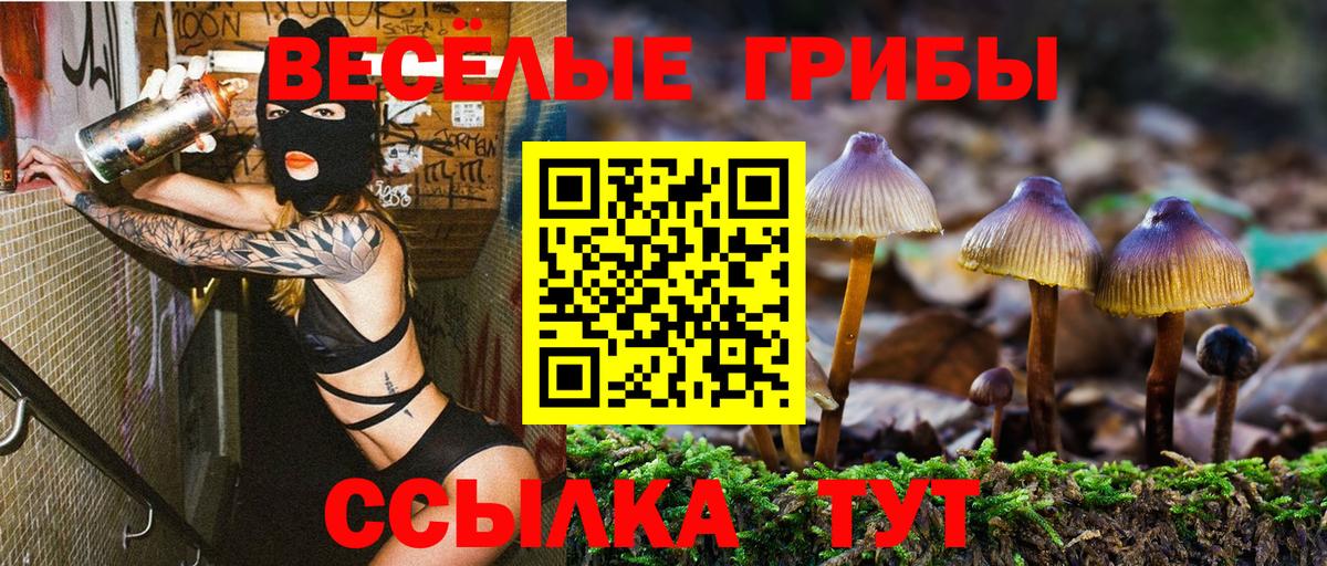 Галлюциногенные грибы мицелий  Вход с VPN  Электросталь 